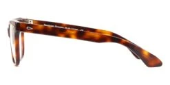 American Optical Saratoga C1 ST Tortoise -silhouette Store american optical saratoga c1 st tortoise hd 3