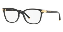 Dolce & Gabbana Dolce&Gabbana DG5036 501