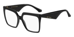Etro 0005 807
